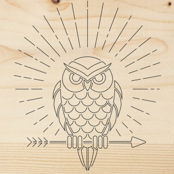 Доска для выжигания REXANT СОВА 150х150 мм Доска для выжигания REXANT СОВА 150х150 мм