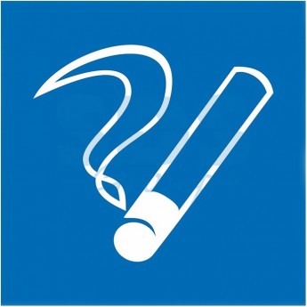 Табличка ПВХ информационный знак REXANT МЕСТО КУРЕНИЯ 200х200мм Табличка ПВХ информационный знак REXANT МЕСТО КУРЕНИЯ 200х200мм